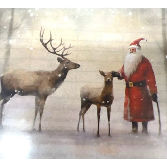 Heaven And Earth Designs Santa Claus Reindeer Cross StitchChart Michele Sayetta - Picture 3 of 3